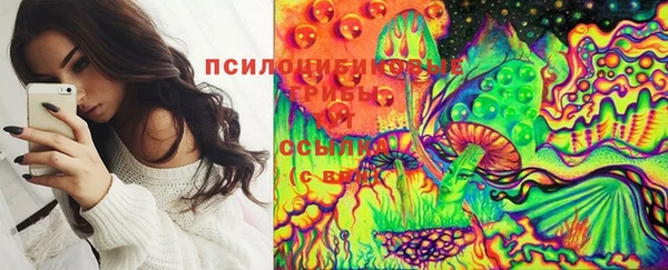 Альфа ПВП Абаза