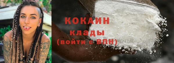 прущие грибы Абинск